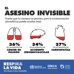 BreatheLife 2030 Infographic 01 Spanish1